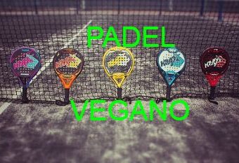 ZAPATILLAS DE PADEL VEGANAS !! INCREIBLE