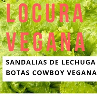 LAS SANDALIAS DE LECHUGA YA ESTAN AQUI !!