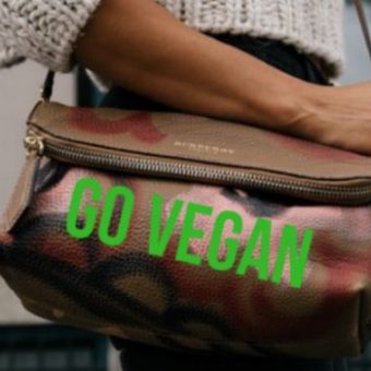 BOLSOS VEGANOS