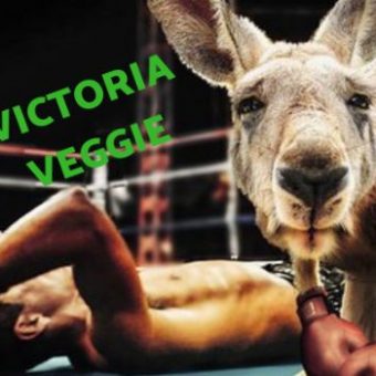 LOS MÁS PREMIADOS POR PETA 2018