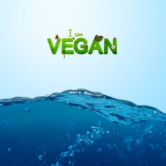 ¿Qué zapatos de tendencia te gustaría que fueran veganos?