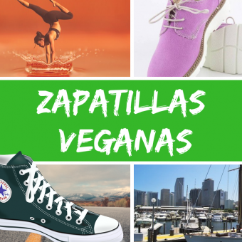 19 + 1 ZAPATILLAS VEGANAS  2023-2024