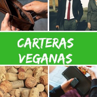 15 + 1 INCREIBLES CARTERAS VEGANAS