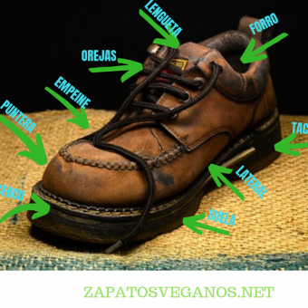LAS PARTES DEL ZAPATO