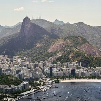 CALZADO VEGANO DE BRASIL