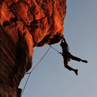 EVOLV PARA ESCALADA VEGANA